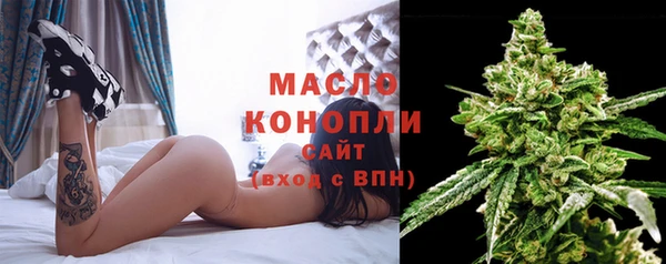 шишки Сосновый Бор