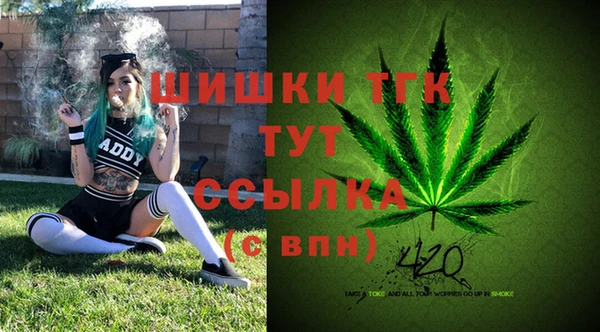 тгк Белокуриха