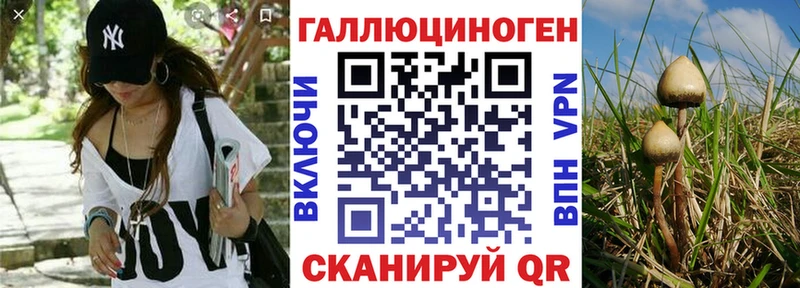 Псилоцибиновые грибы MAGIC MUSHROOMS  где найти   Мурино 